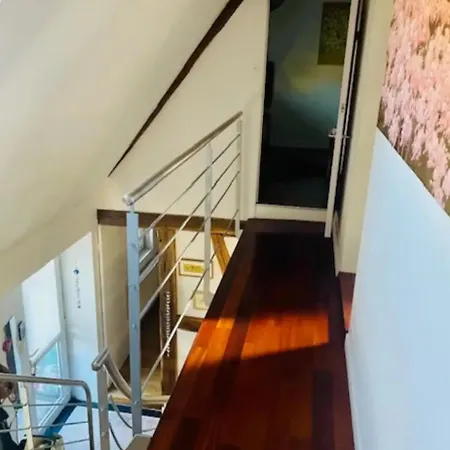 Chez Litchee Et Albane * フェンデンハイム