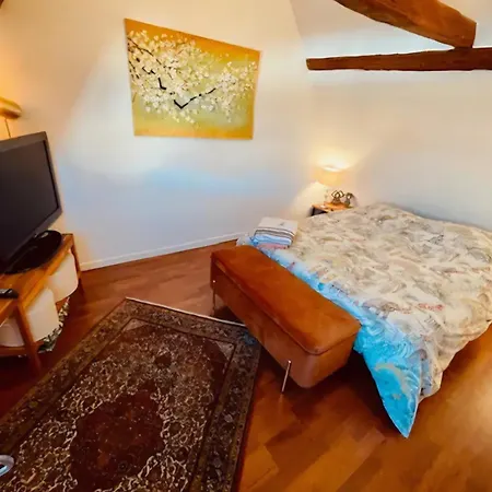 ホームステイ Chez Litchee Et Albane